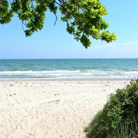 Apartment Rex Rugia: Beachfront With Terrace And Access Lobbe